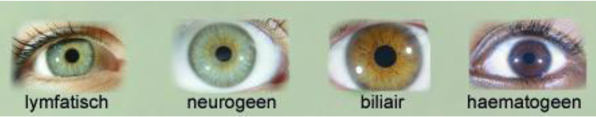 oog2
